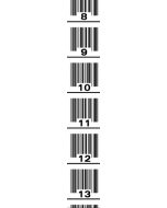 Sierra RapidScan Ruler